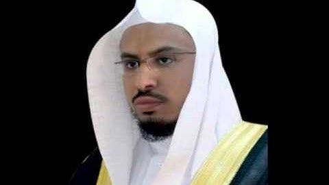 ماتيسر من سورة القصص.محمد ابوبكر لديم