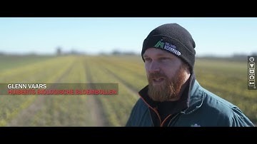 Eindfilm - Duurzame Teelt van Tulp en Bijgoed