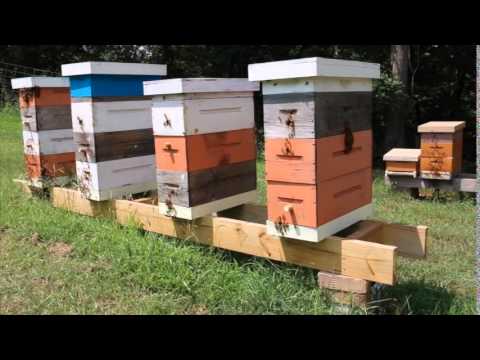 DIY Hive Stand 7 2015 - YouTube