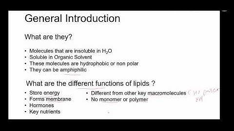 Lipids Introduction Part 1  General Intro and Functions