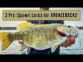 I ALWAYS Have These 3 Baits On Deck For Pre-Spawn Smallmouth!