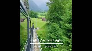 سراق المودة من القلوب ||د. الشيخ احمد الوائلي (رحمهُ الله)