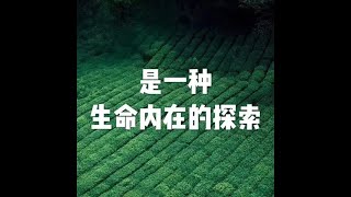 201604 是一种生命内在的探索21762