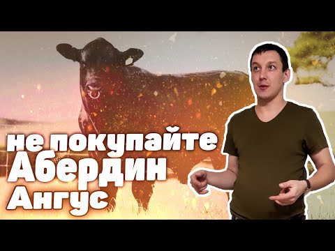 Видео: Разница между Ангусом и Херефордом