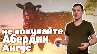 Абердин Ангус, почему не стоит на старте брать? Мраморная говядина, система откорма, и откорм бычков