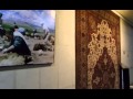 Музей ковров в Тегеране: 10 фактов