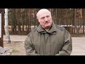 Лукашенко о развитии чернобыльской территории: надо чётко понимать, где будут жить люди. Панорама