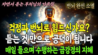번뇌에서 해방되는 가장 확실한 방법 | 금강반야바라밀경 현대어 완역 | 부처님의 가르침 #부처님말씀 #불교명상 #불교말씀 #명상