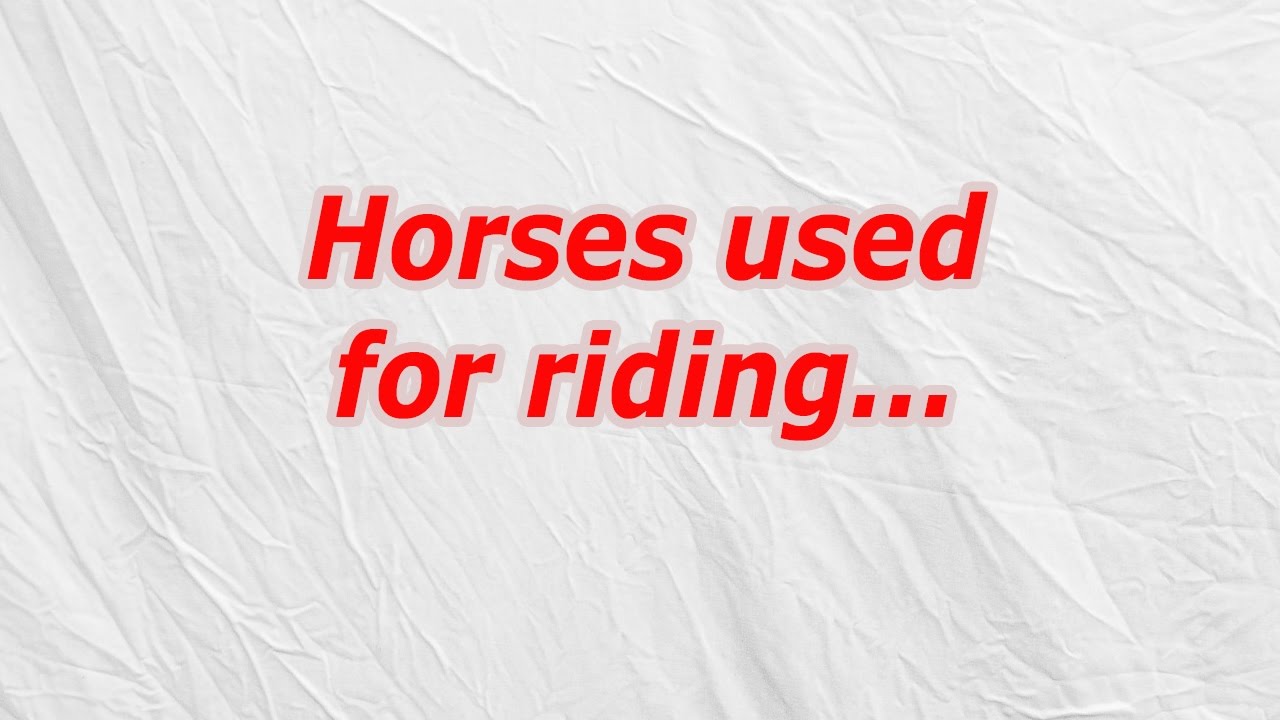 Horses used for riding (CodyCross Answer/Cheat) - YouTube