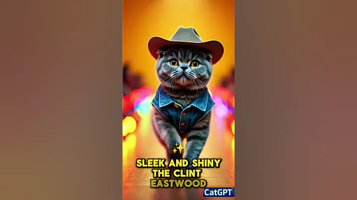 Video 10856111: maine coon persian, royal maine coon, wild cat breeds, beautiful cat breeds, wild kitty