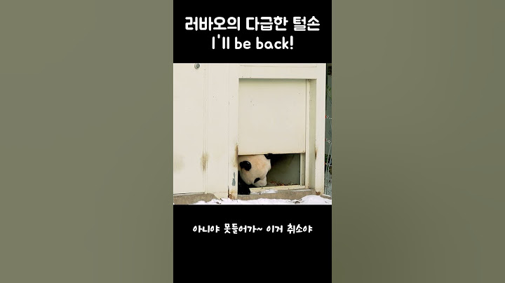 러바오(LeBao)의 다급한 털손☃️눈이랑 못 헤어져💕I'll be back! Snow~👍#러바오