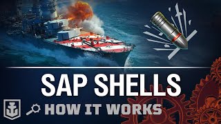 How it Works: SAP Shells