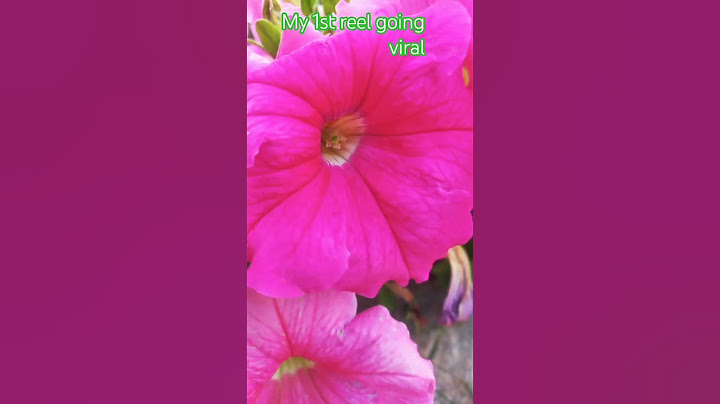 my 1st music reel going viral #music #dj #remix #techno #beautifulnature