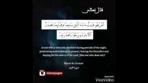 القارئ  #ماهر المعيقلي    أمن هو قانت آناء الليل ساجدا وقائما يحذر الآخرة ويرجو رحمة ربه    الزمر ٩