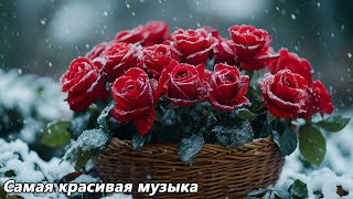 картинка: Музыка для души🌿Можно слушать вечно🌿Лучшие композиции Сергея Грищука #3