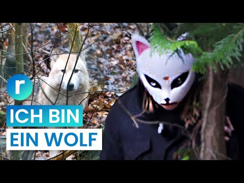 Video: Wie alt ist Wolfie?