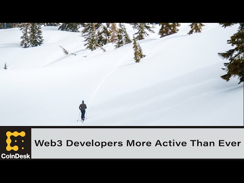 Web3 developers more active than ever despite crypto winter