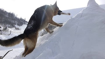 Panasonic Lumix DMC-TZ30 full-hd video