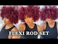 HOW TO: Quick & Easy FLEXI ROD SET on DRY HAIR! | NATURAL HAIR (4a/3c)