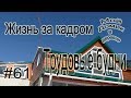 #61 Жизнь за кадром! Обычные будни/ Педикюр для курицы!!!