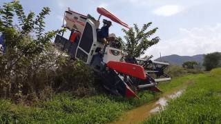 ម៉ាស៊ីនច្រូតឆ្លងប្រឡាយ Dangerous Harvester Vs Canal  #Harvester Stuck In Mud