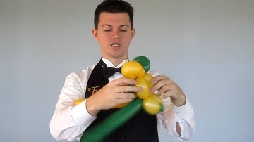 Balloon Library #33 - 2 Balloon Dog Tutorial - Your Balloon Man