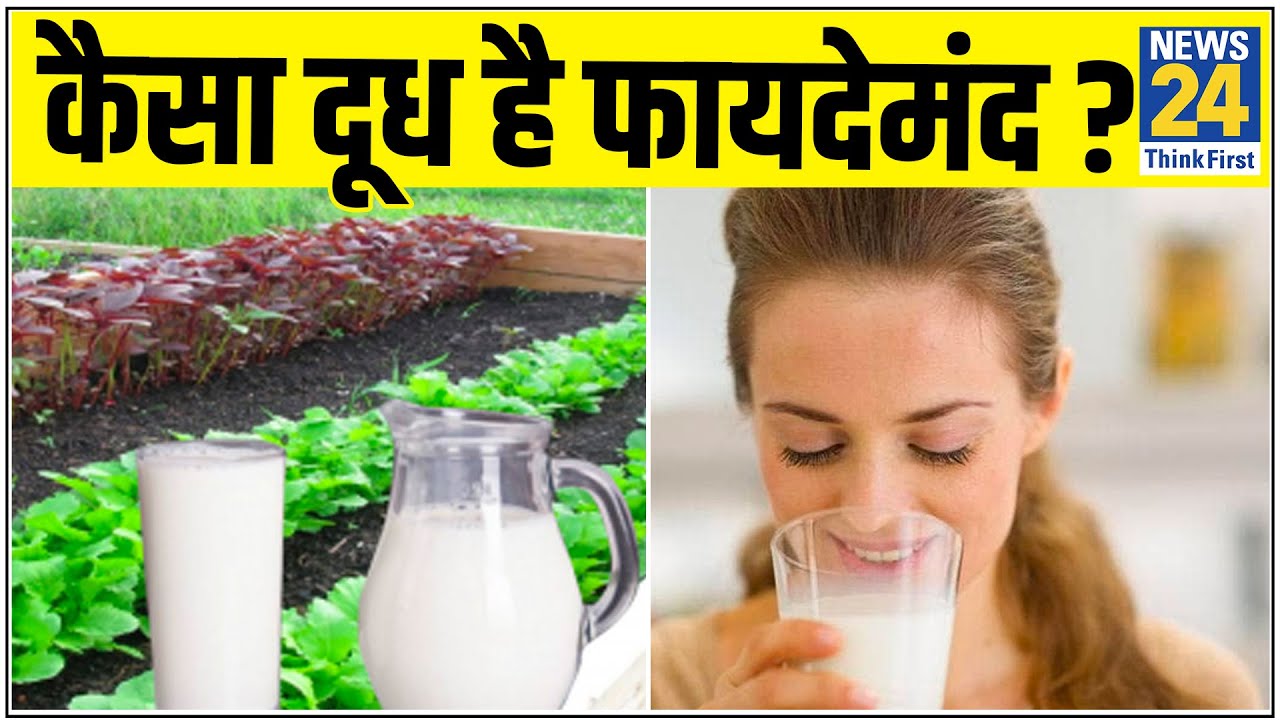 Sanjeevani : अच्छी सेहत के लिए कैसा दूध पीना चाहिए ? जानिए डॉक्टर प्रताप चौहान से || News24