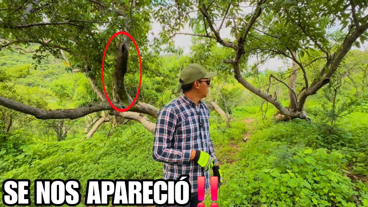 DESCUBRIMOS mucho DINERO Y JOYAS en este LUGAR pero ESTO QUE GRABAMOS nos dejo IMPRESIONADOS...