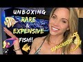 Unboxing My New Rare and Expensive Fish - Plus, Seahorses - Mindi's Coral Reef