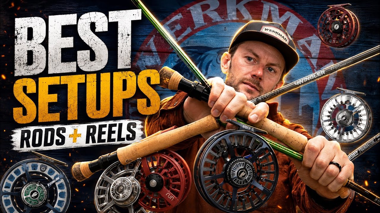 best medium heavy spinning saltwater reels Top 10 Best Inshore Saltwater Spinning Reels  Tight Lines and High Tides