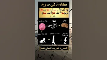 القرآن كلمة فى صورة 65 Viral Video Shorts 