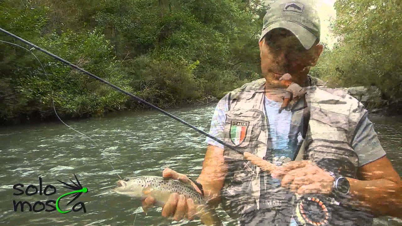 TEST SFT HYDROPSYCHE ELITE 10 #2/3 by SOLOMOSCA