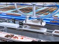 A pickerline to increase production efficiency and flexibility in confectionery packaging