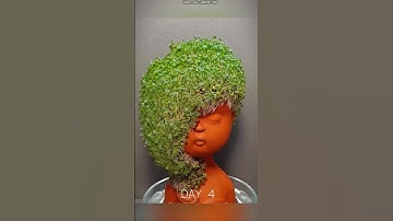 Made an amazing sculpture from seeds || #trending #shortvideo