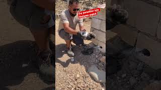 Dış Parazitler Için Ilaçlama Yaptık