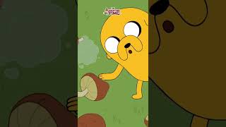 Do Mushrooms Fart? Adventure Time