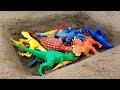 공룡 흙구덩이 배틀 싸움 Dinosaur Battle