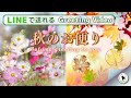 LINEで送れるコスモスと紅葉で『秋のお便り』 #greeting #秋の動画 #秋 #癒し#お便り #季節の動画 #紅葉 #コスモス