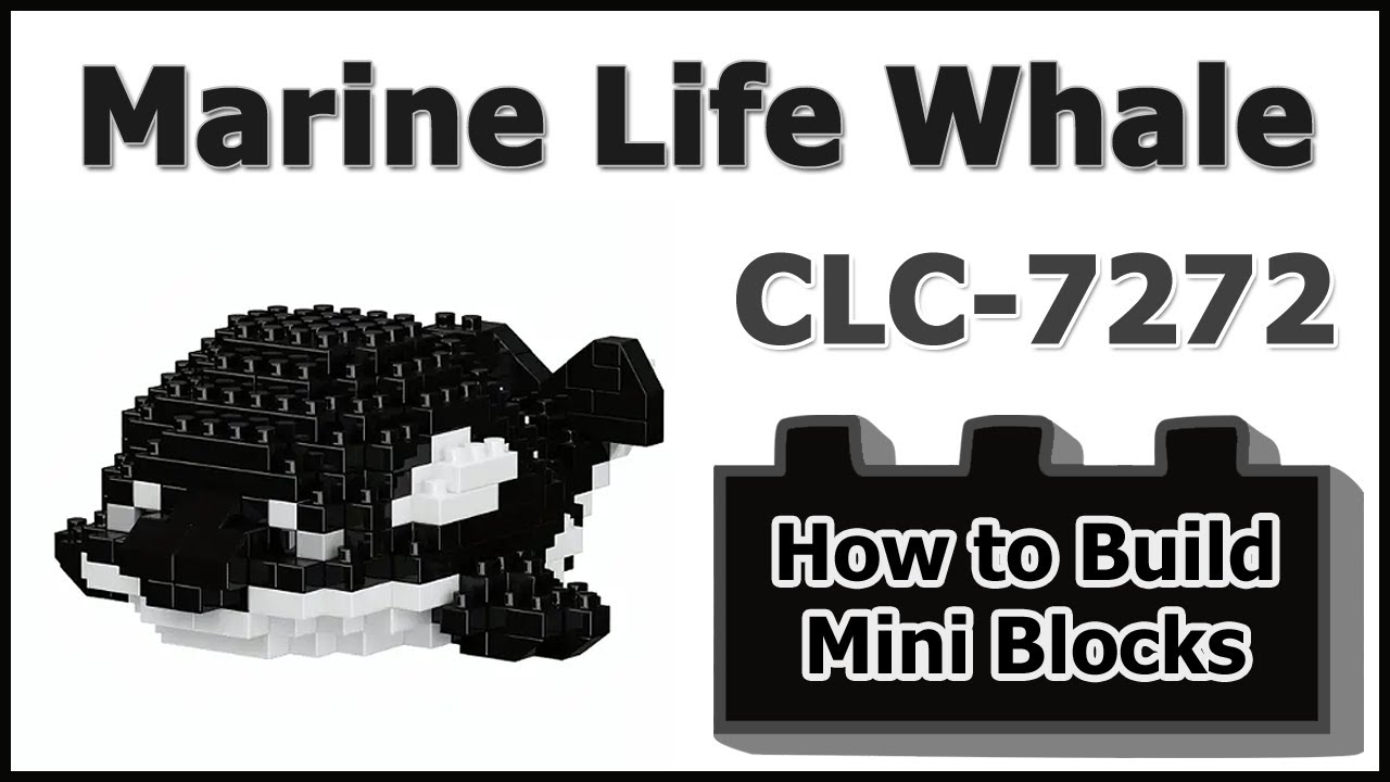 How to Build Mini Blocks Marine Life Whale CLC-7272 Review