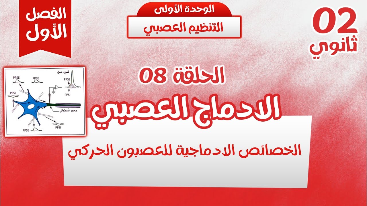 ثانية ثانوي🦾الحلقة8: الادماج العصبي"الخصائص الادماجية للعصبون الحركي" كل ما تحتاجه بابسط شرح😎