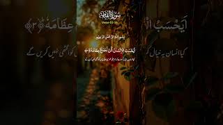 Best Recitation Of Surah Qeyam With Translation