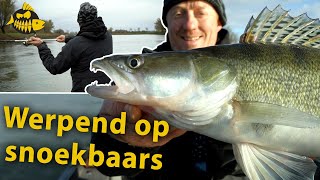 Anders werpen op snoekbaars - Met een expert op de rivier