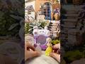 ASMR Toy Frozen Elsa &amp; Washing Machine Set #shorts #toys #disney