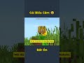 Cái Biểu Cảm Bất Ổn #minecraft #shorts