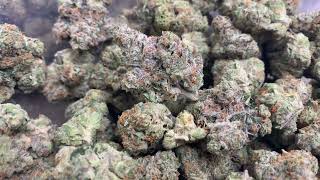 THCa Flower Pounds: Sundae Runtz (Indoor Exotic)