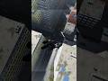 SPIDERMAN 3 GAMEPLAY SPIDERMAN 3 GAMEPLAY