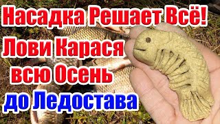 Лови всю Осень до Ледостава. Насадка на Карася. На что ловить Карася.