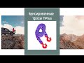 Ремень буксировочный усиленный Tplus