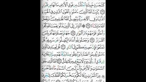 تجويد الصفحه الخامسه من سوره ابراهيم 259