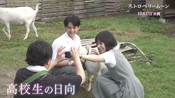 映画『ストロベリームーン 余命半年の恋』メイキング特別映像【2025年10月17日(金)公開】